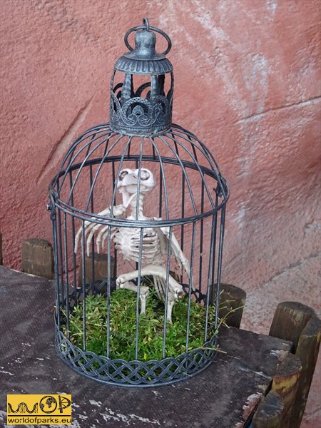 Beitragsbild
