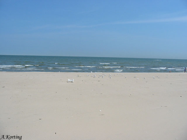 Beitragsbild