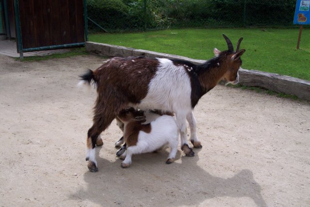 Beitragsbild