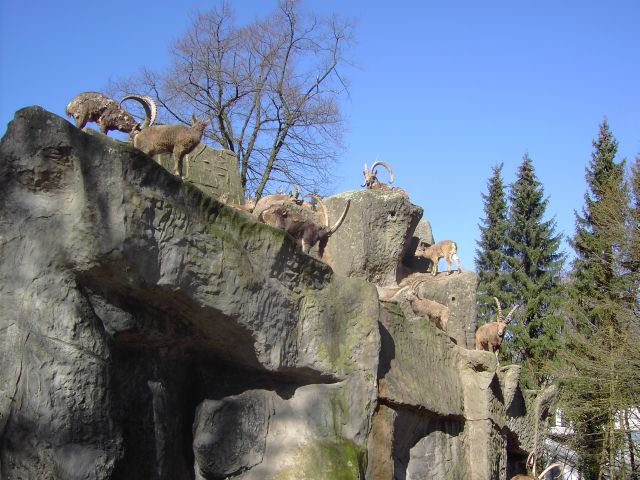 Beitragsbild