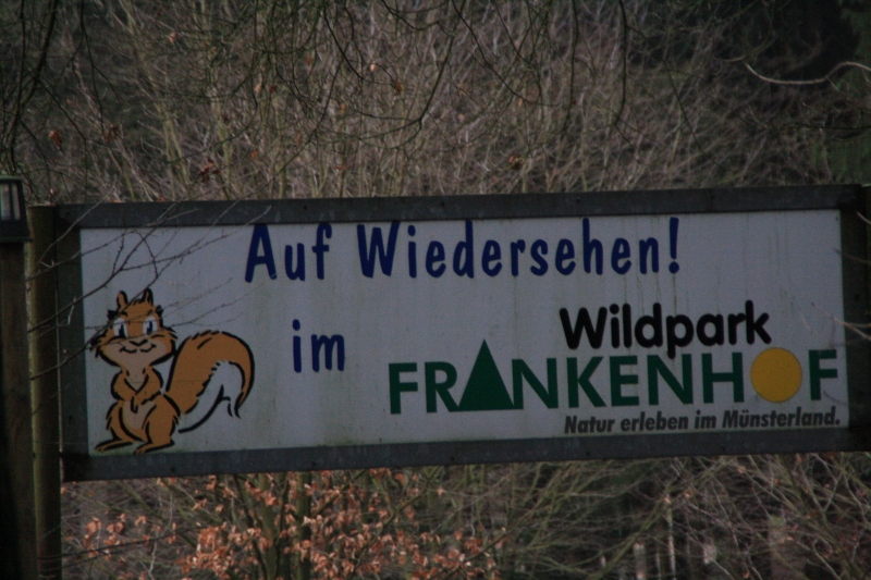 Beitragsbild