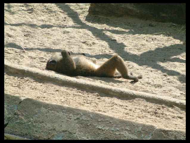Beitragsbild