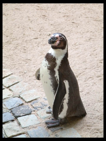 Beitragsbild