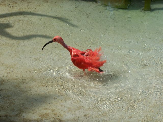 Beitragsbild