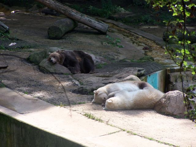 Beitragsbild