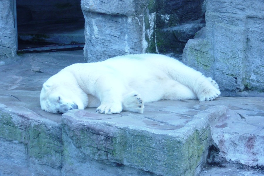 Beitragsbild