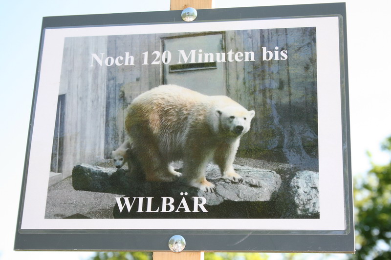 Beitragsbild