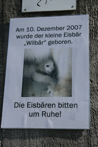 Beitragsbild