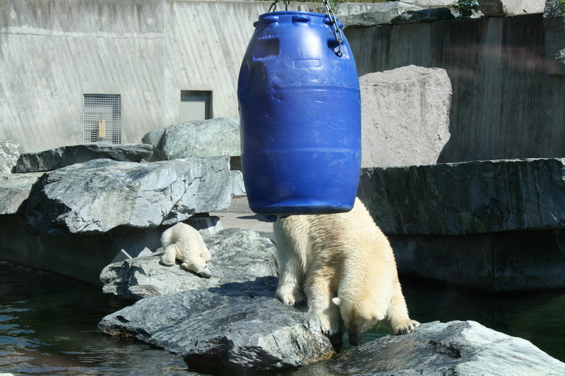 Beitragsbild