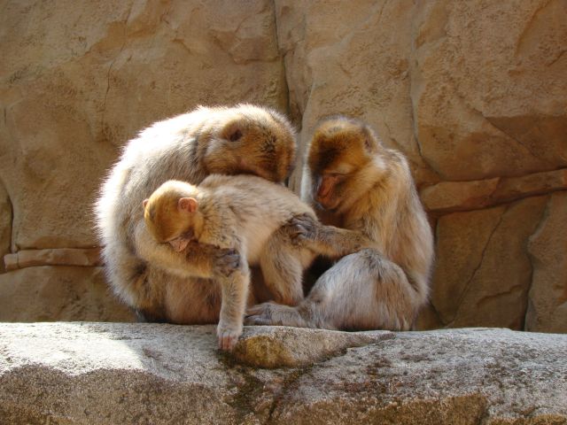 Beitragsbild