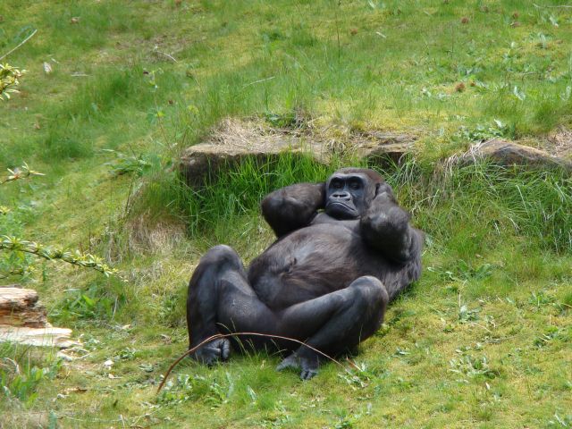 Beitragsbild