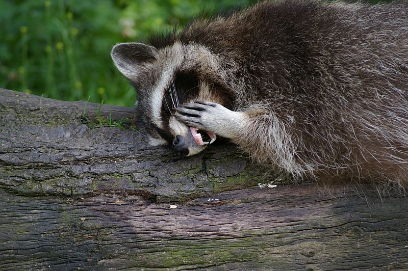Beitragsbild