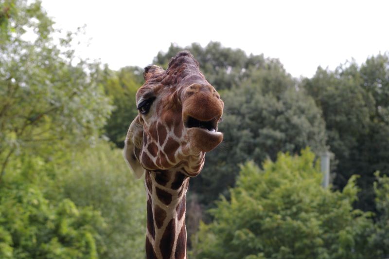 Beitragsbild