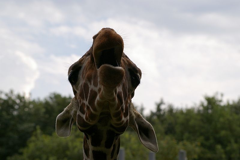 Beitragsbild