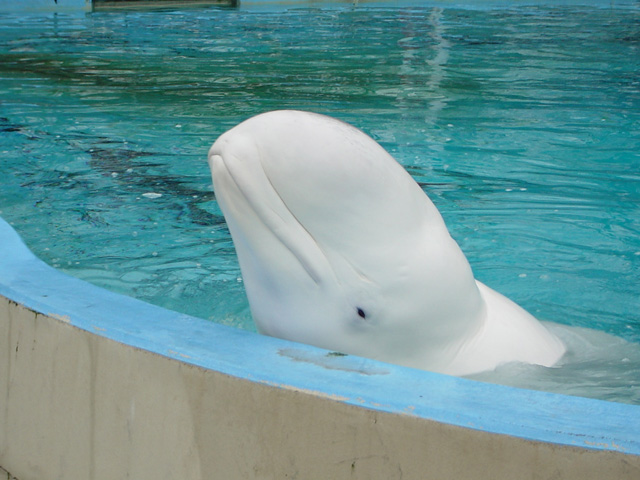 Beitragsbild