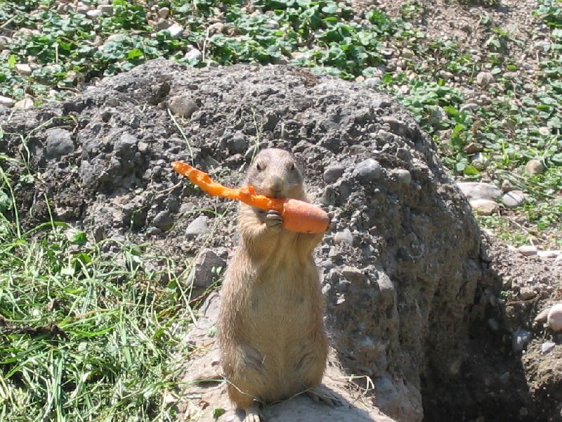 Beitragsbild