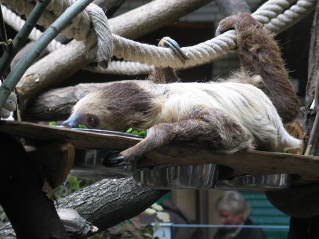 Beitragsbild