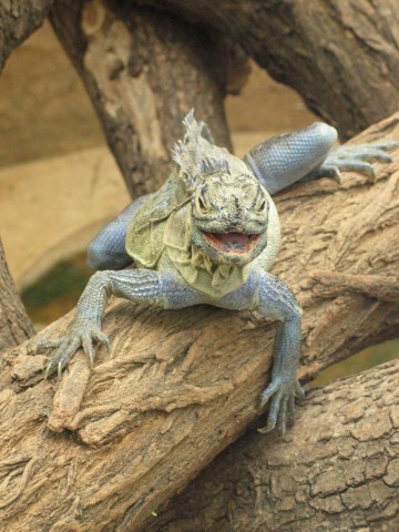 Beitragsbild