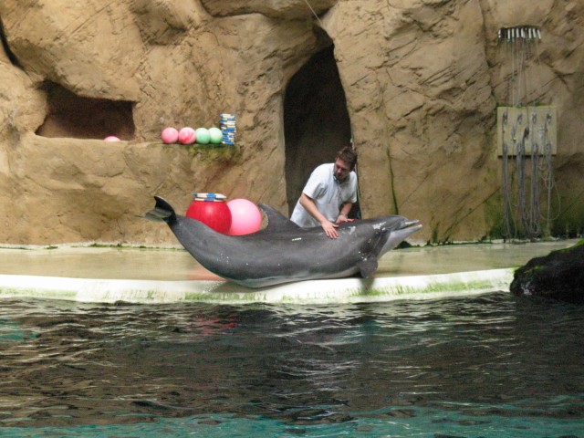 Beitragsbild